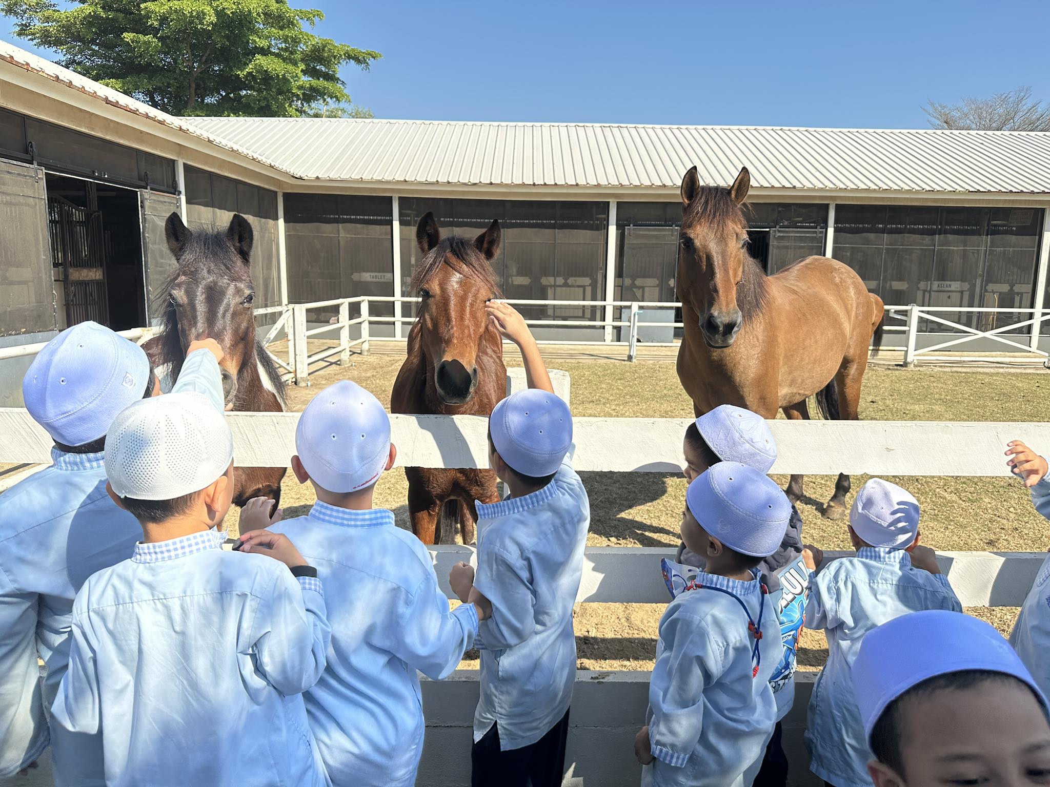 ทัศนศึกษาฟาร์มม้า